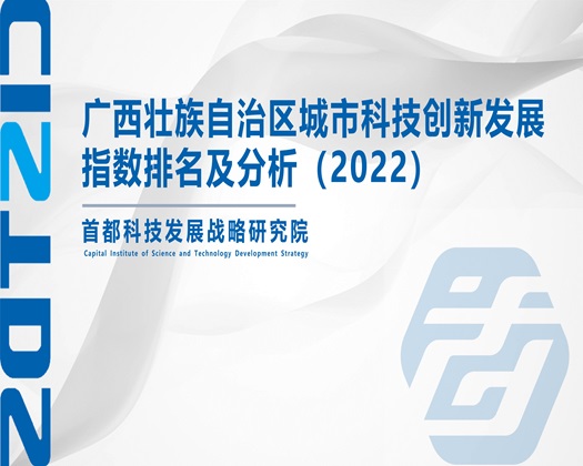 免费操逼视频群【成果发布】广西壮族自治区城市科技创新发展指数排名及分析（2022）